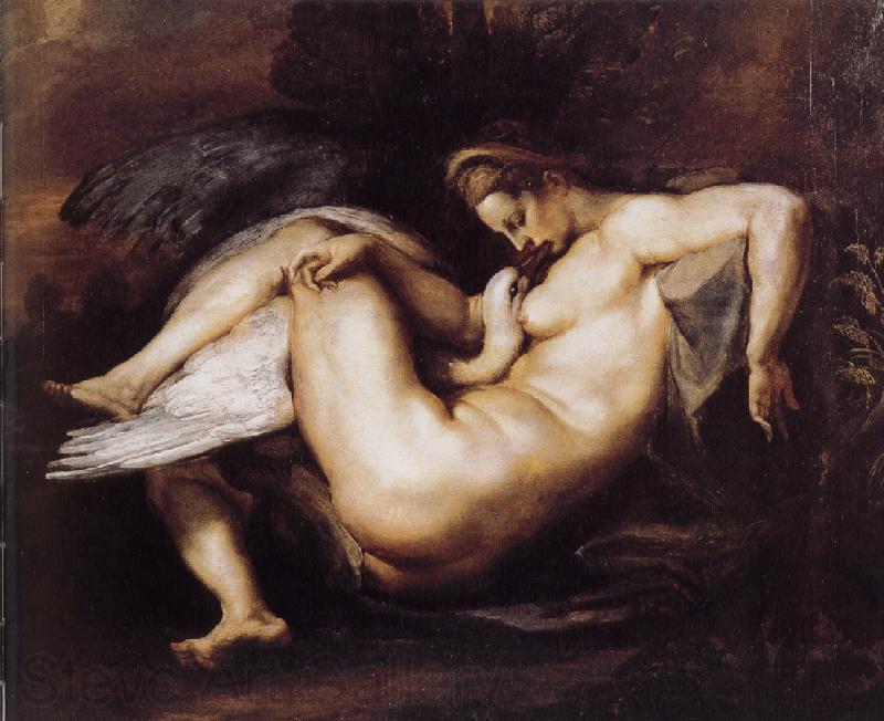 Peter Paul Rubens Lida and Swan Norge oil painting art